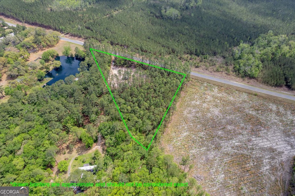 29 Clyde Road White Oak, GA 31568 - Photo 46 of 46 a view of a garden with plants