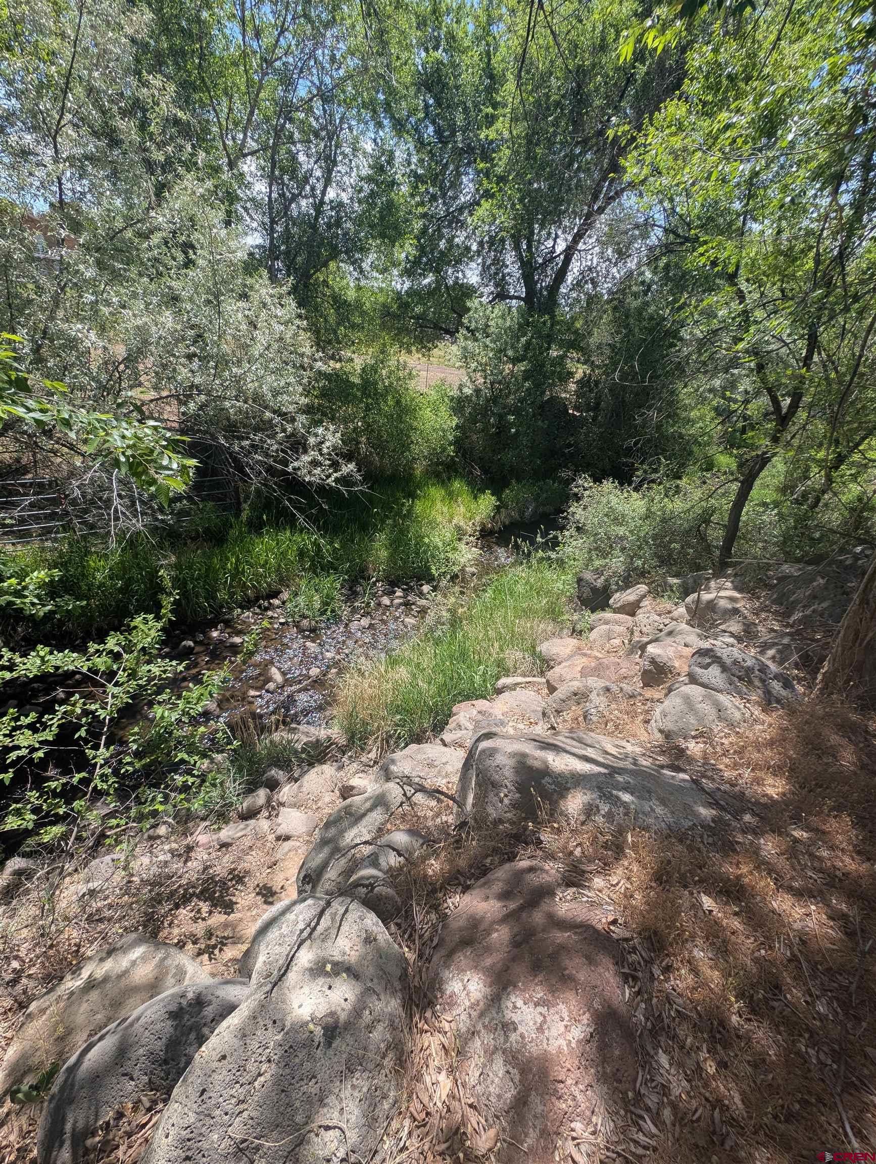 20885 Marble Road Eckert, CO 81418 - Photo 13 of 15