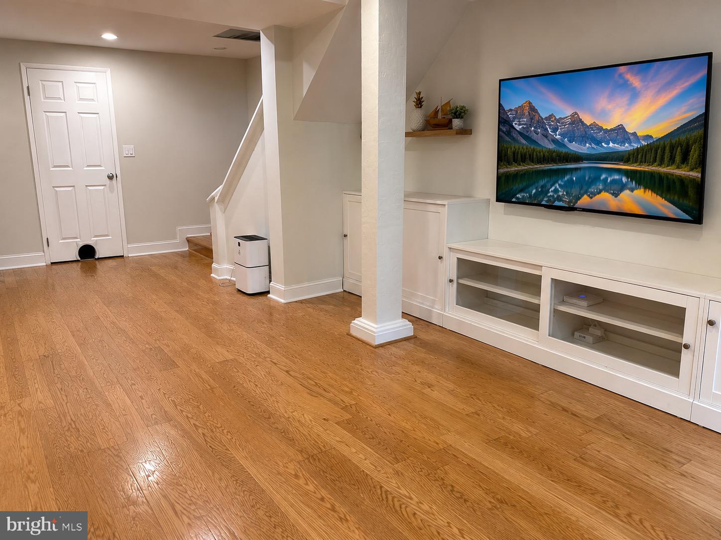 4630 28th Road South, Unit C Arlington, VA 22206 - Photo 17 of 40 Rec Room w/Large, Finished Storage Closet