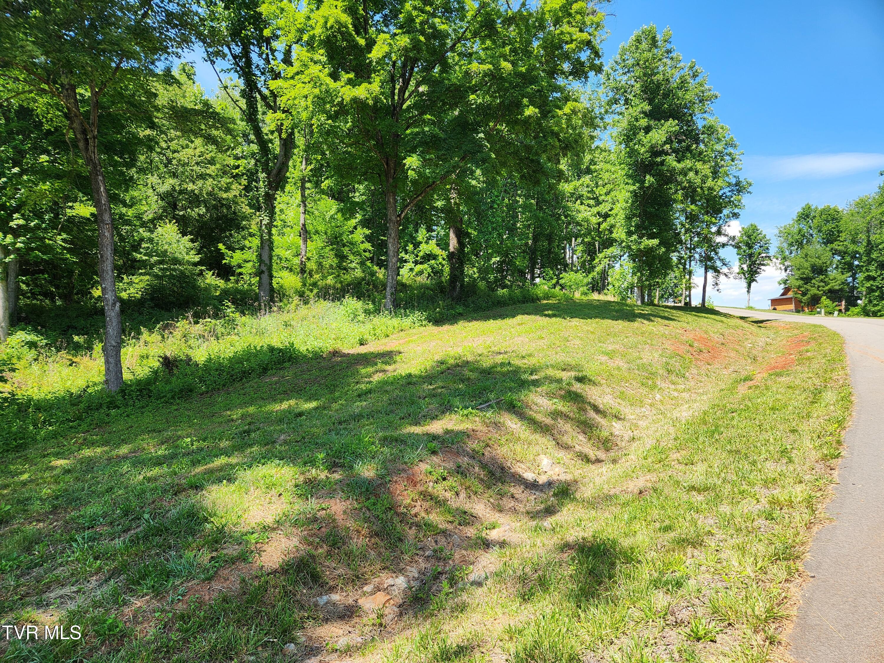 Lot 40 Cowan Town Road, Unit 40 Butler, TN 37640 - Photo 20 of 117 20260606_150507