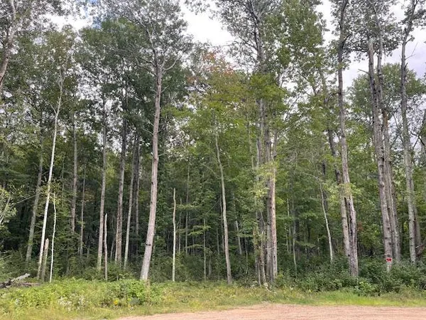 $89,900 | 0 Levi Lane, Crosslake, MN 56442