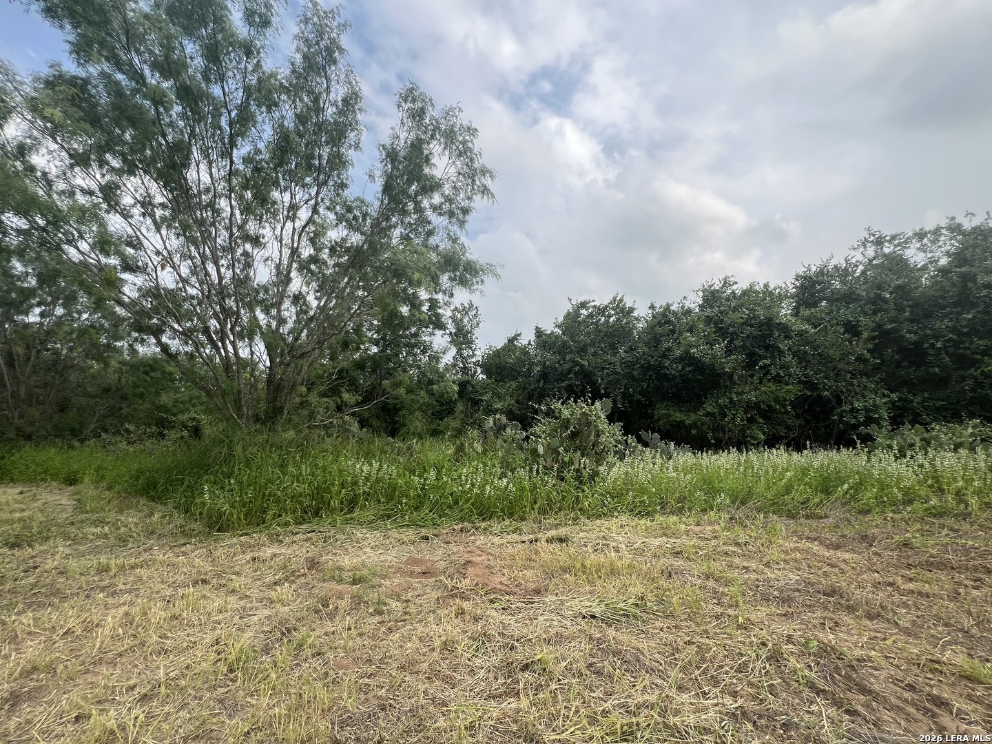 5967 Granato Road Poteet, TX 78065 - Photo 15 of 26 Gallery Image 15