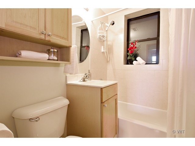45 North Paulina Street, Unit 1 Chicago, IL 60612 - Photo 9 of 11 a bathroom with a sink vanity mirror and toilet