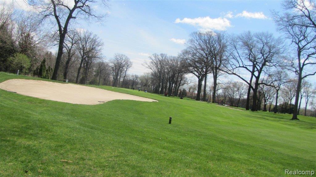 18221 Hamilton Road Highland Park, MI 48203 - Photo 3 of 3 golf course 2.JPG
