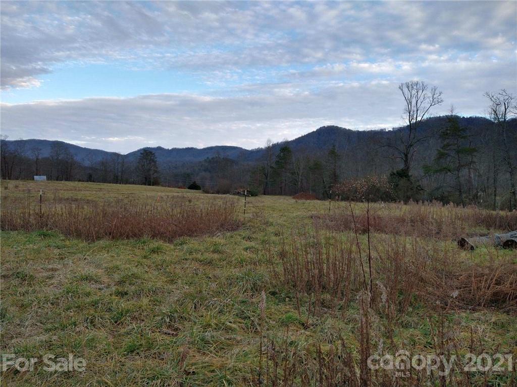 920 Mt Hebron Road Old Fort, NC 28762 - Photo 1 of 10 Gallery Image 1