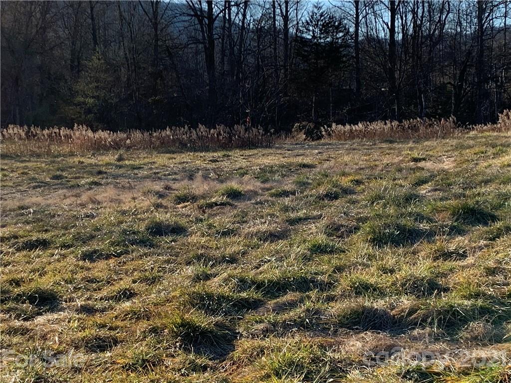 920 Mt Hebron Road Old Fort, NC 28762 - Photo 3 of 10 Gallery Image 3