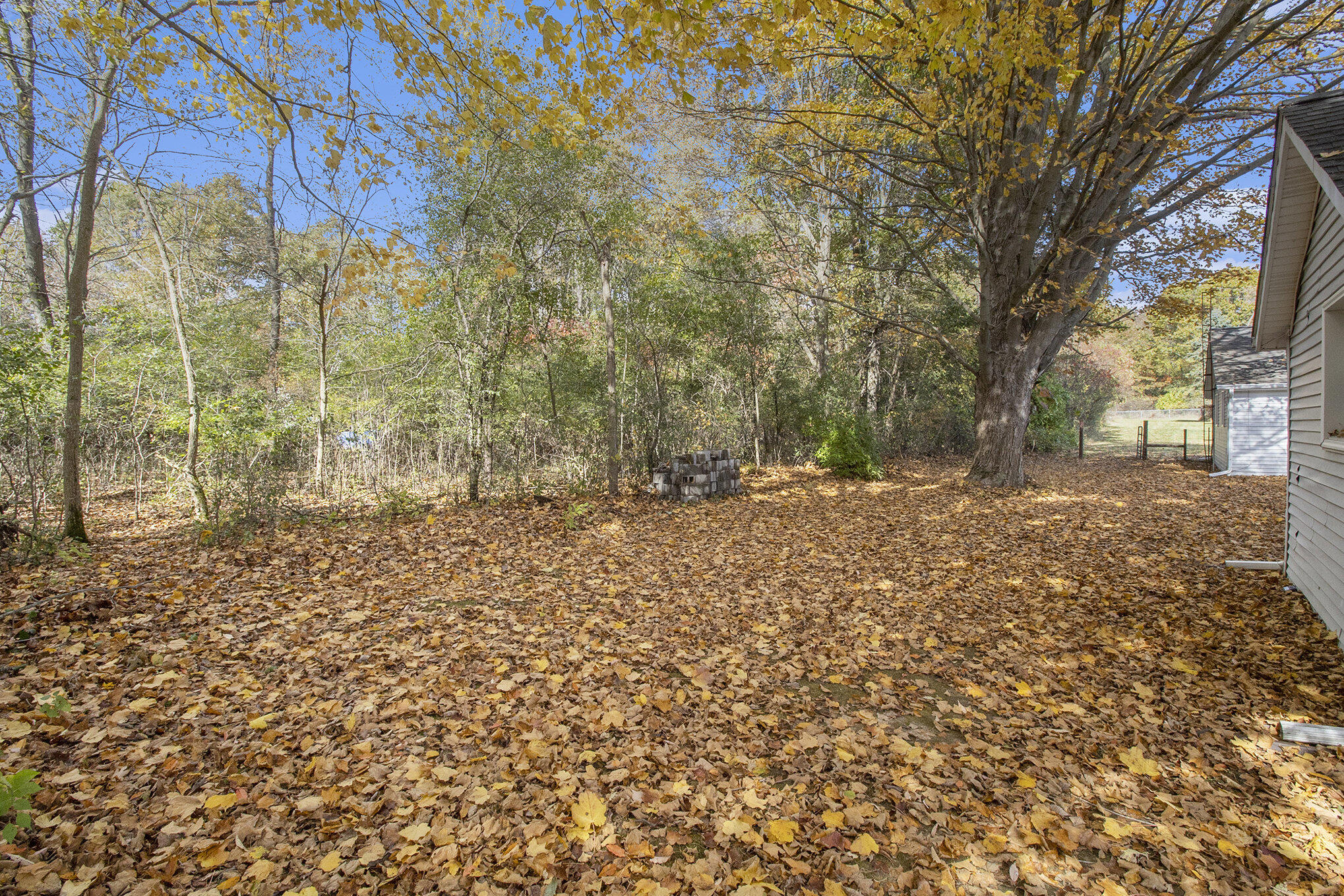 5312 Seymour Road Jackson, MI 49201 - Photo 25 of 32 025_img_8050_509