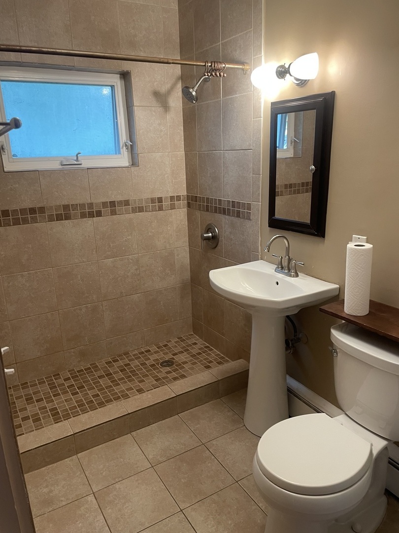 632 North Center Street, Unit 2W Naperville, IL 60563 - Photo 11 of 14 a bathroom with a sink a toilet and shower