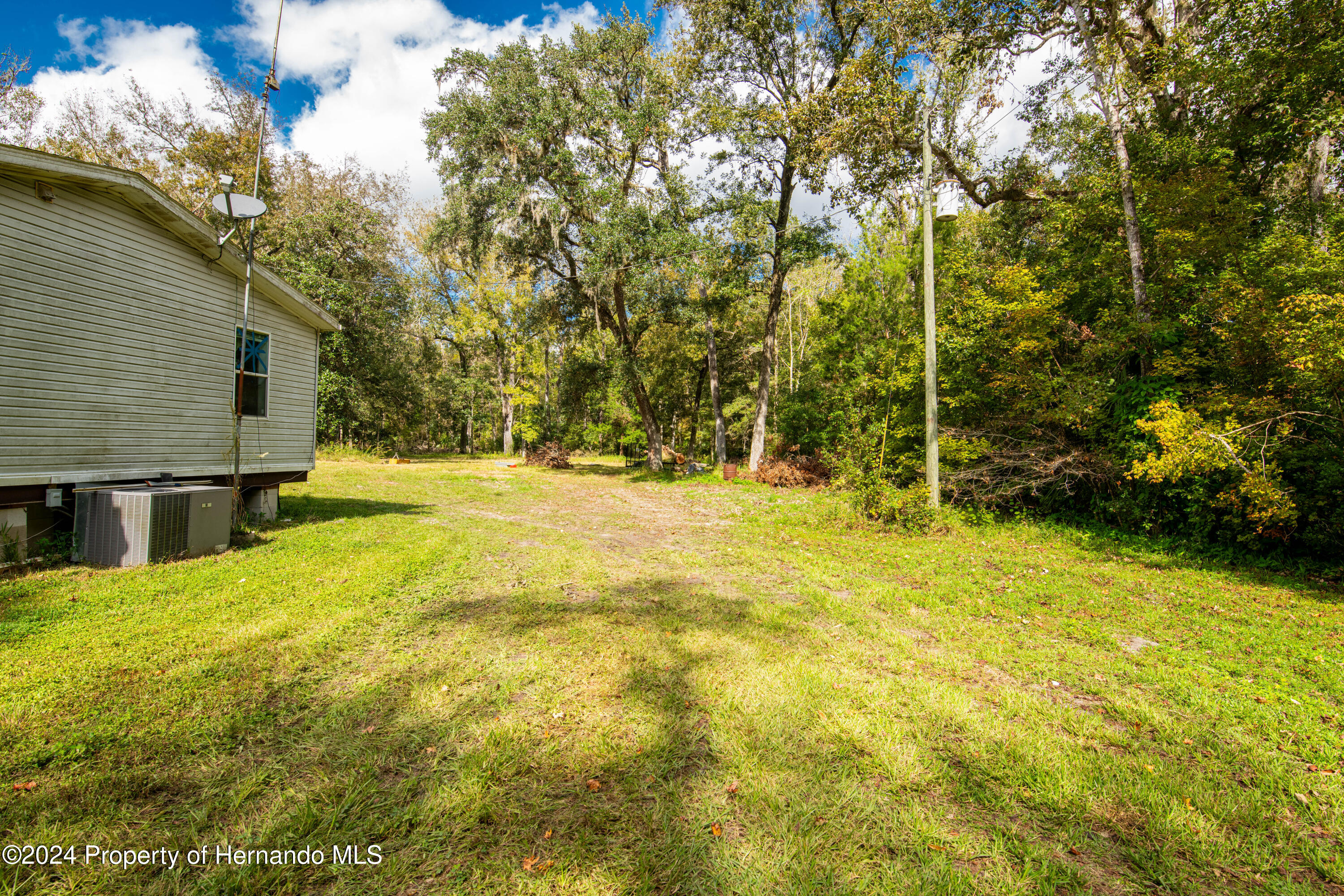 16109 Buczak Road Brooksville, FL 34614 - Photo 12 of 16 a swimming pool with trees in the background