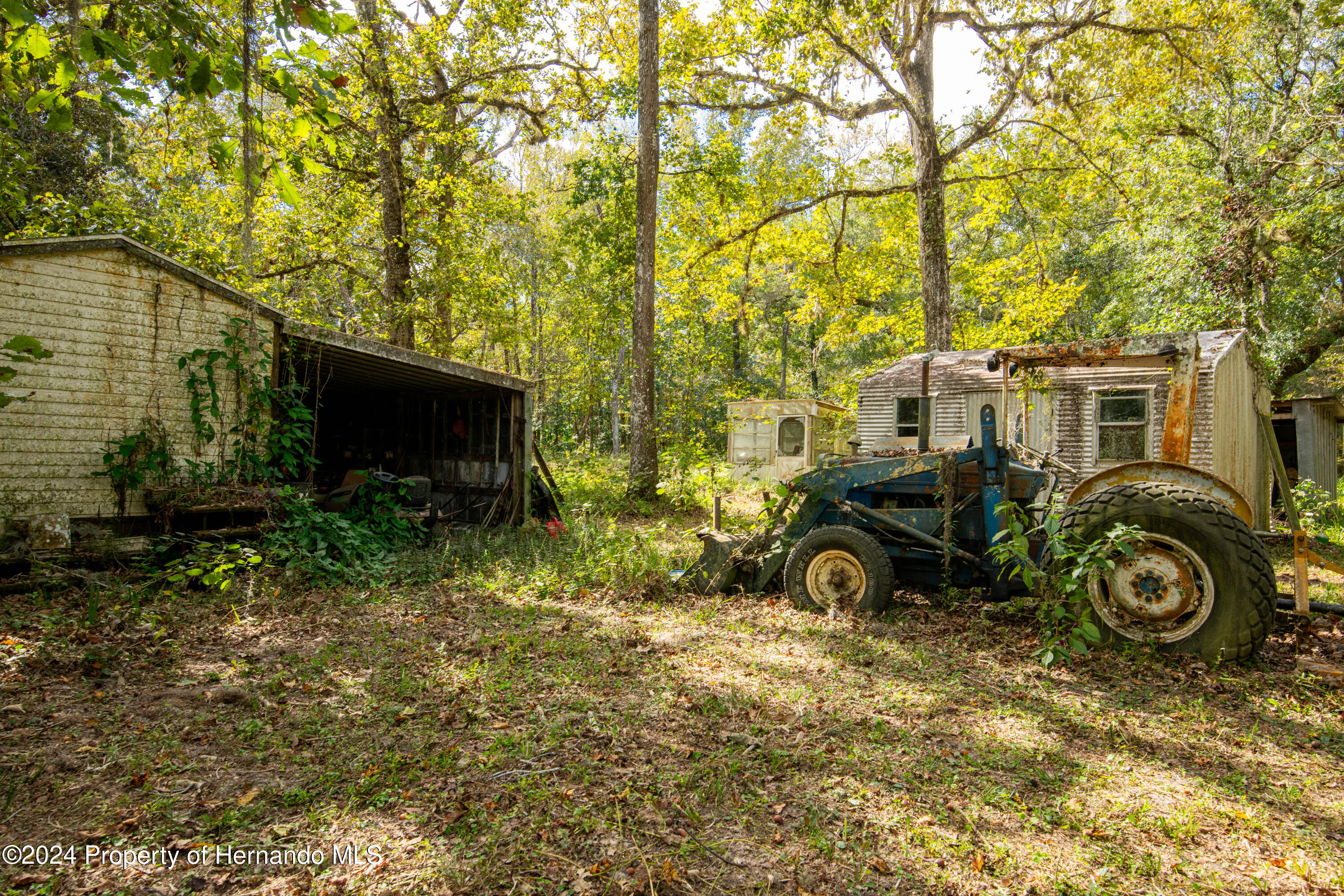 16109 Buczak Road Brooksville, FL 34614 - Photo 14 of 16 a view of outdoor space with deck and tree