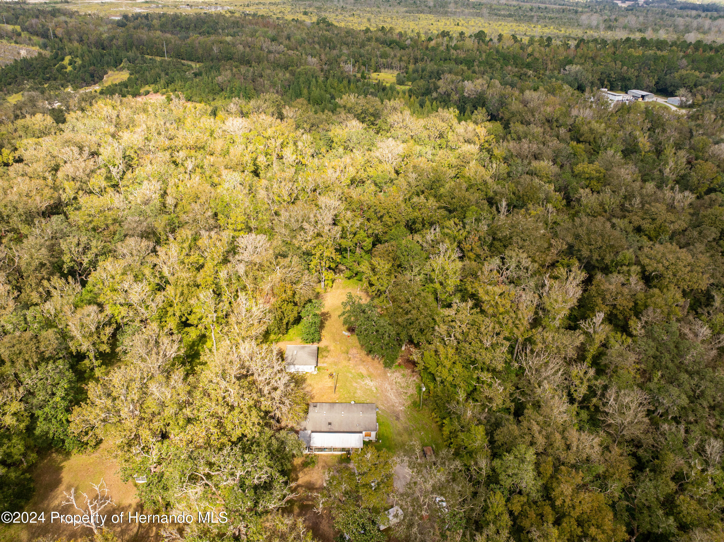 16109 Buczak Road Brooksville, FL 34614 - Photo 2 of 16 a view of a yard with wooden fence and trees