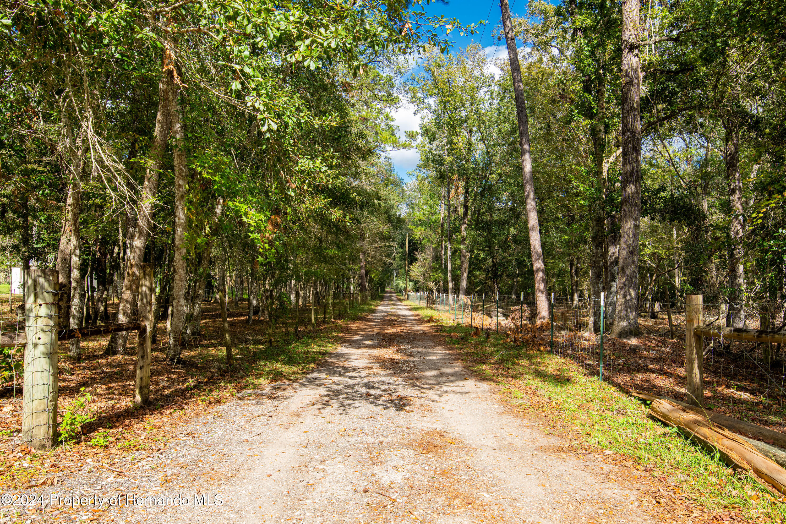 16109 Buczak Road Brooksville, FL 34614 - Photo 3 of 16 a view of a yard with large trees