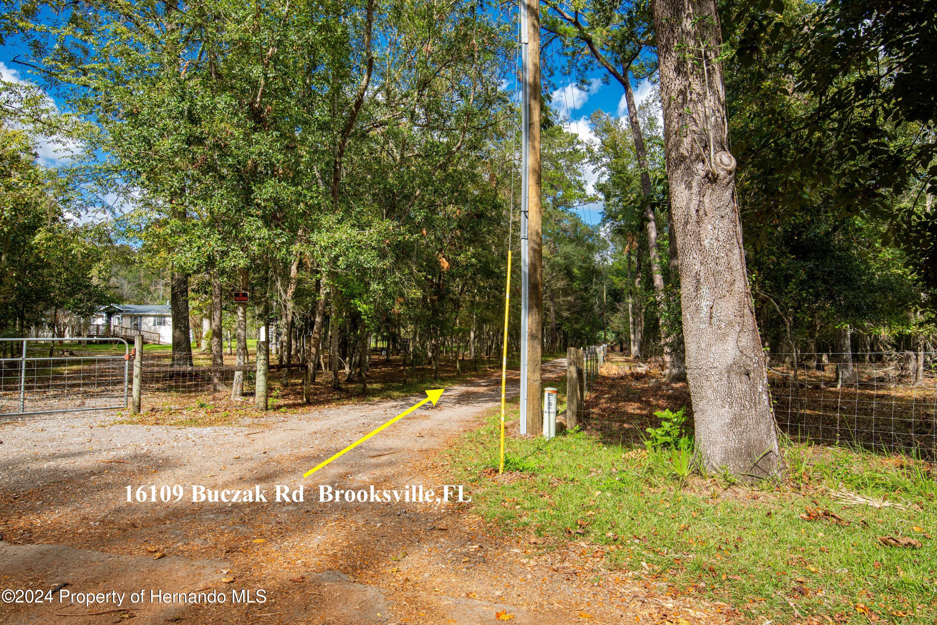 16109 Buczak Road Brooksville, FL 34614 - Photo 9 of 16 a backyard of a house with lots of green space