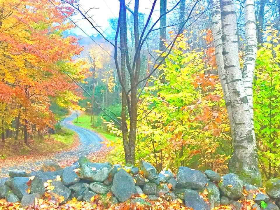 700 Olde Farm Road Grantham, NH 03753 - Photo 28 of 36 Gallery Image 28