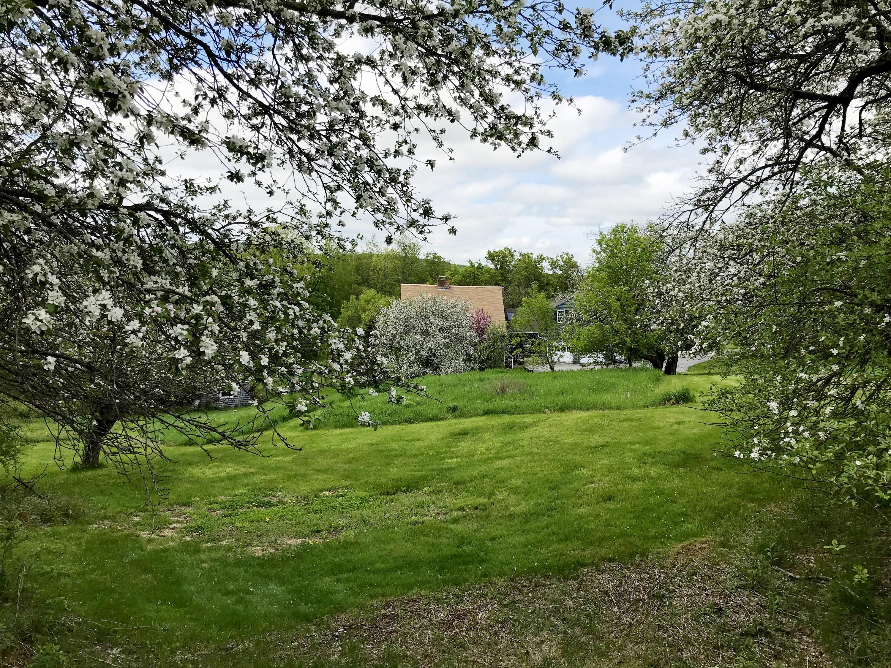 223 East Road Wales, ME 04280 - Photo 50 of 57 IMG_0011