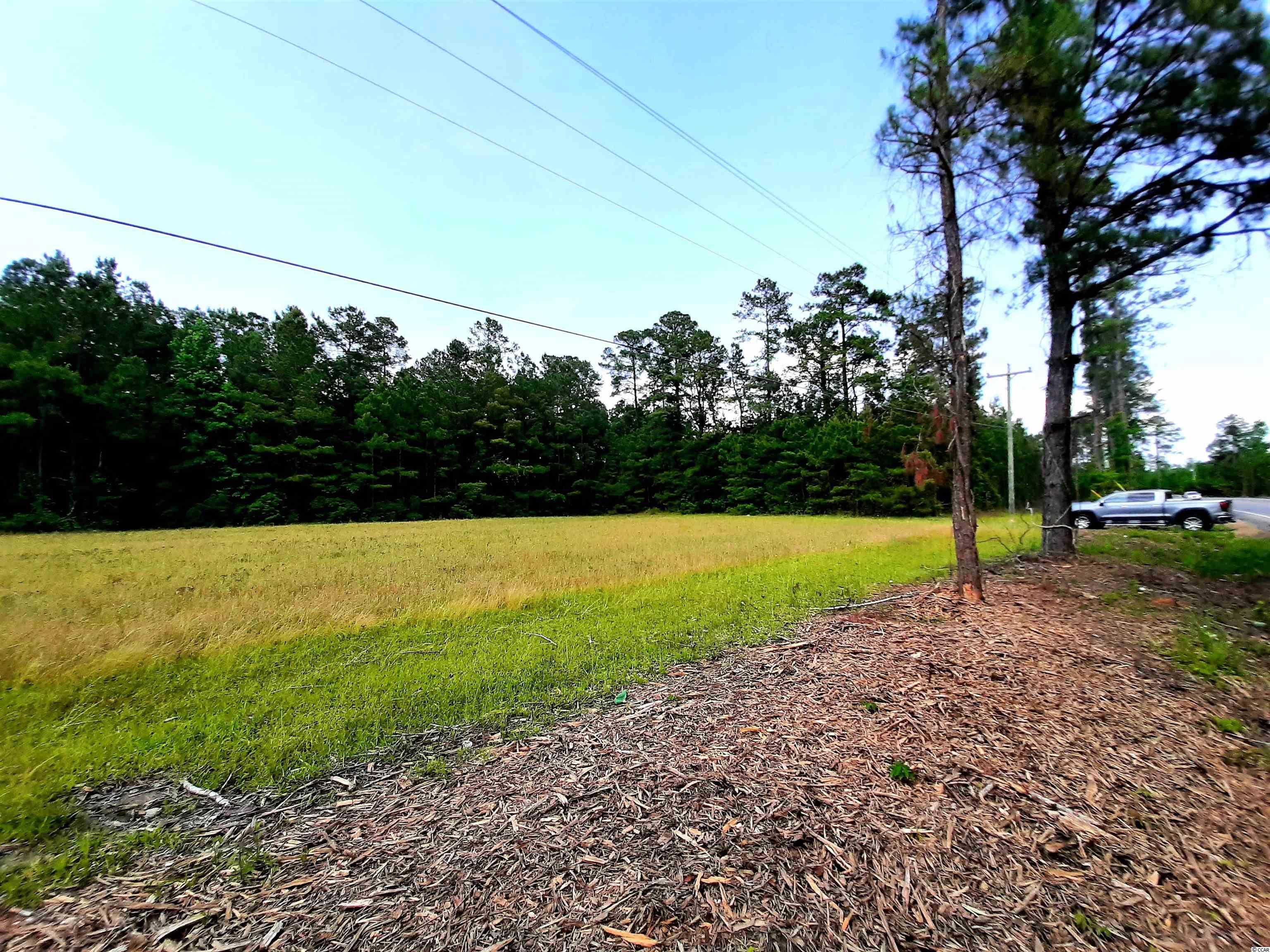 Tbd Saints Delight Road Georgetown, SC 29440 - Photo 4 of 17 Gallery Image 4