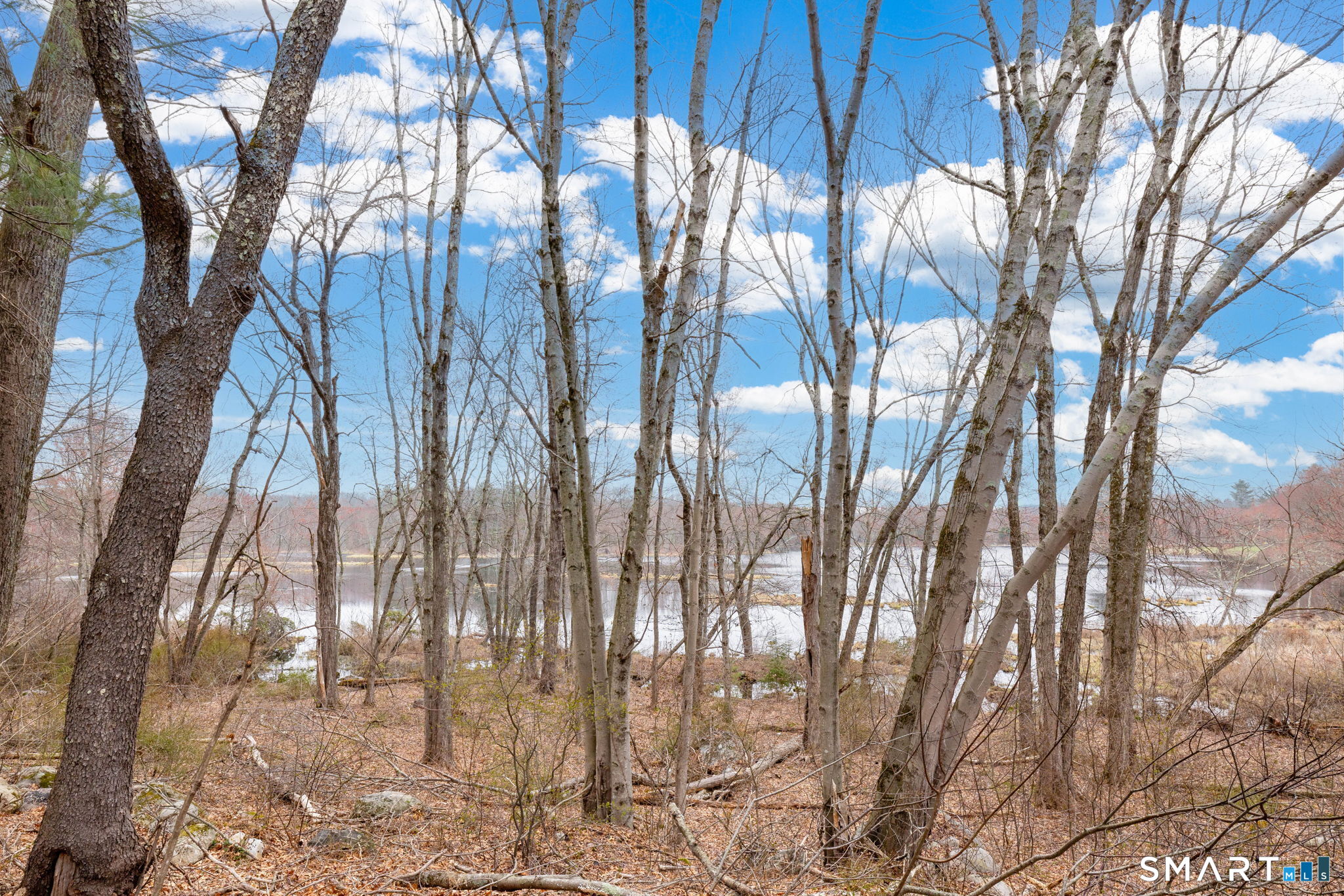 70 Bull Road Harwinton, CT 06791 - Photo 36 of 40 *Backyard views to Bull Pond