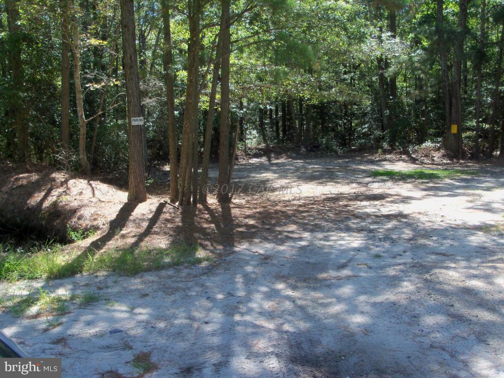 135 Muddy Hole Road Tyaskin, MD 21865 - Photo 9 of 12 Gallery Image 9