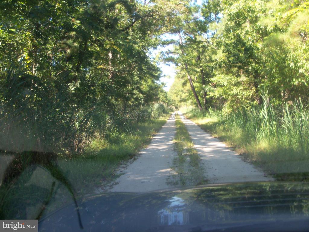 135 Muddy Hole Road Tyaskin, MD 21865 - Photo 10 of 12 Gallery Image 10