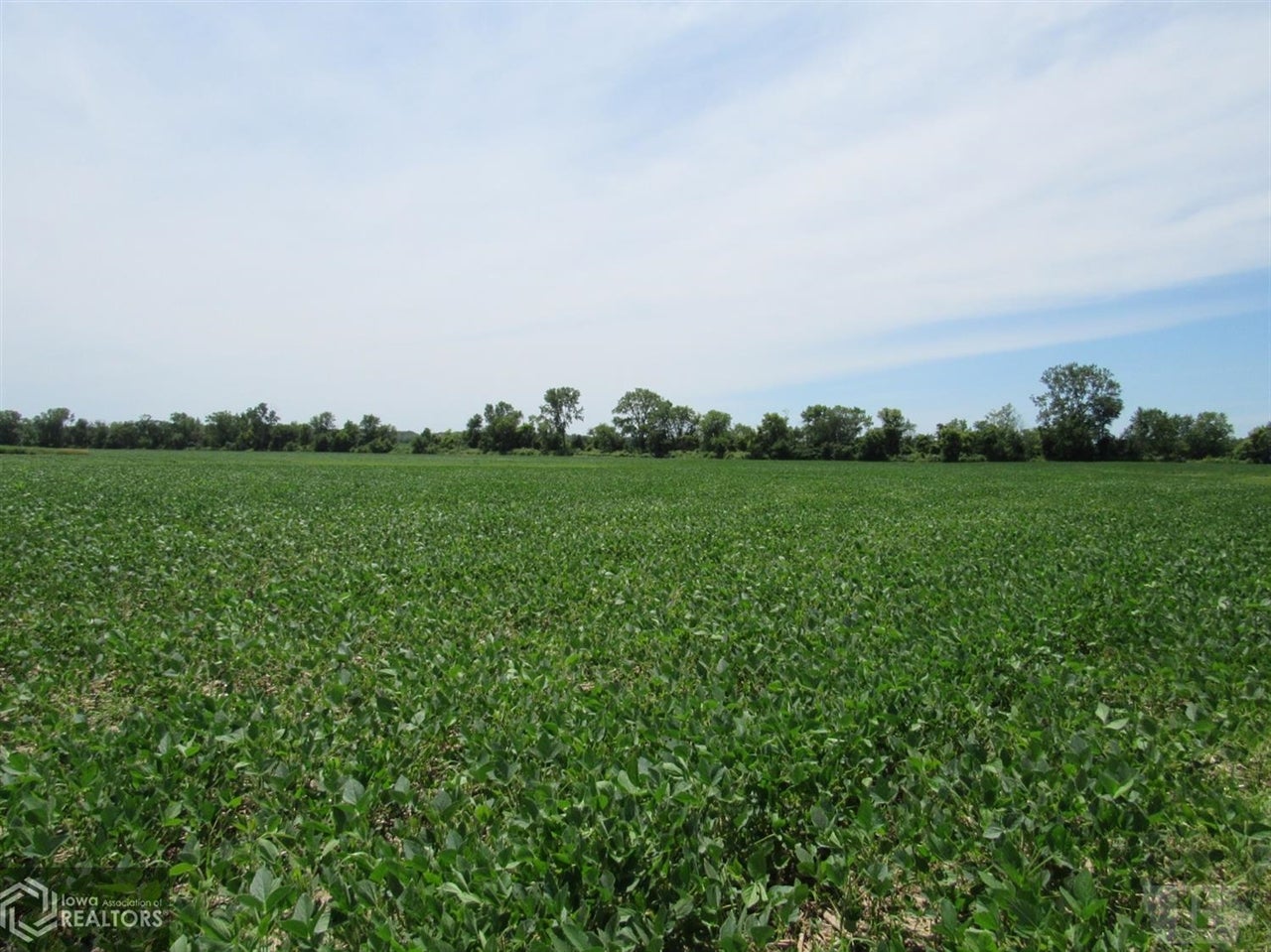 12276 Floris Road Floris, IA 52560 - Photo 4 of 10 Gallery Image 4