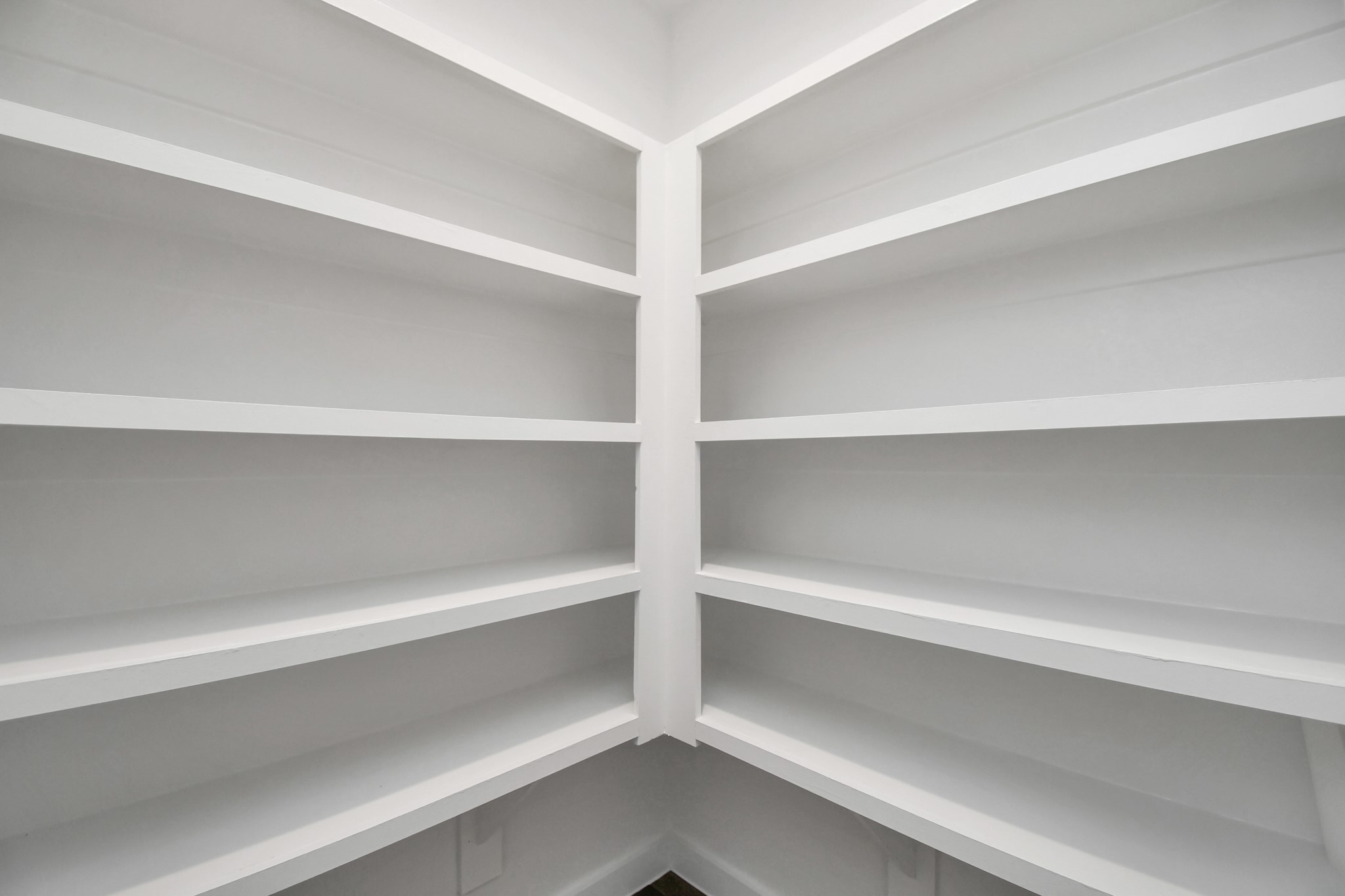 1110 Fringed Bluestar Drive Rosharon, TX 77583 - Photo 41 of 41 a view of an empty walk in closet