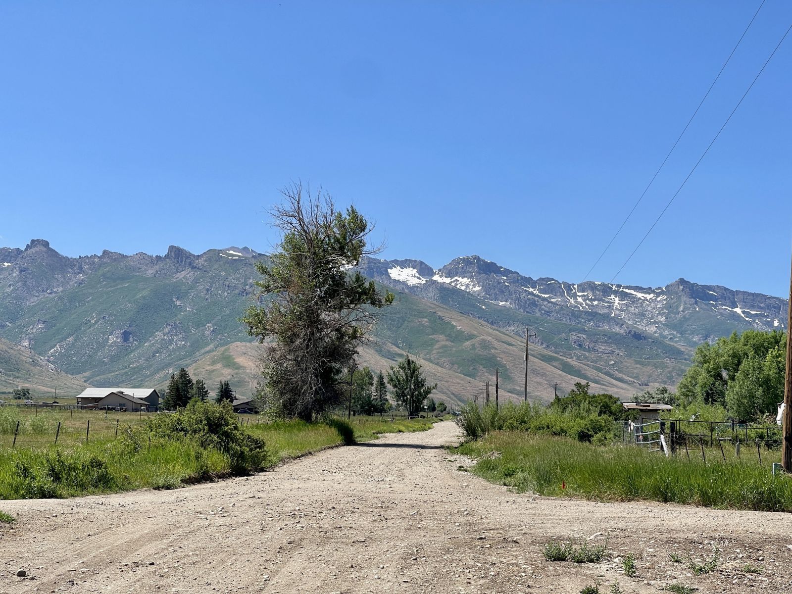 2623 North Canyon Road Lamoille, NV 89828 - Photo 12 of 20