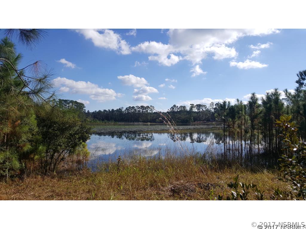 42346 West Lake Road DeLand, FL 32720 - Photo 1 of 6 Gallery Image 1
