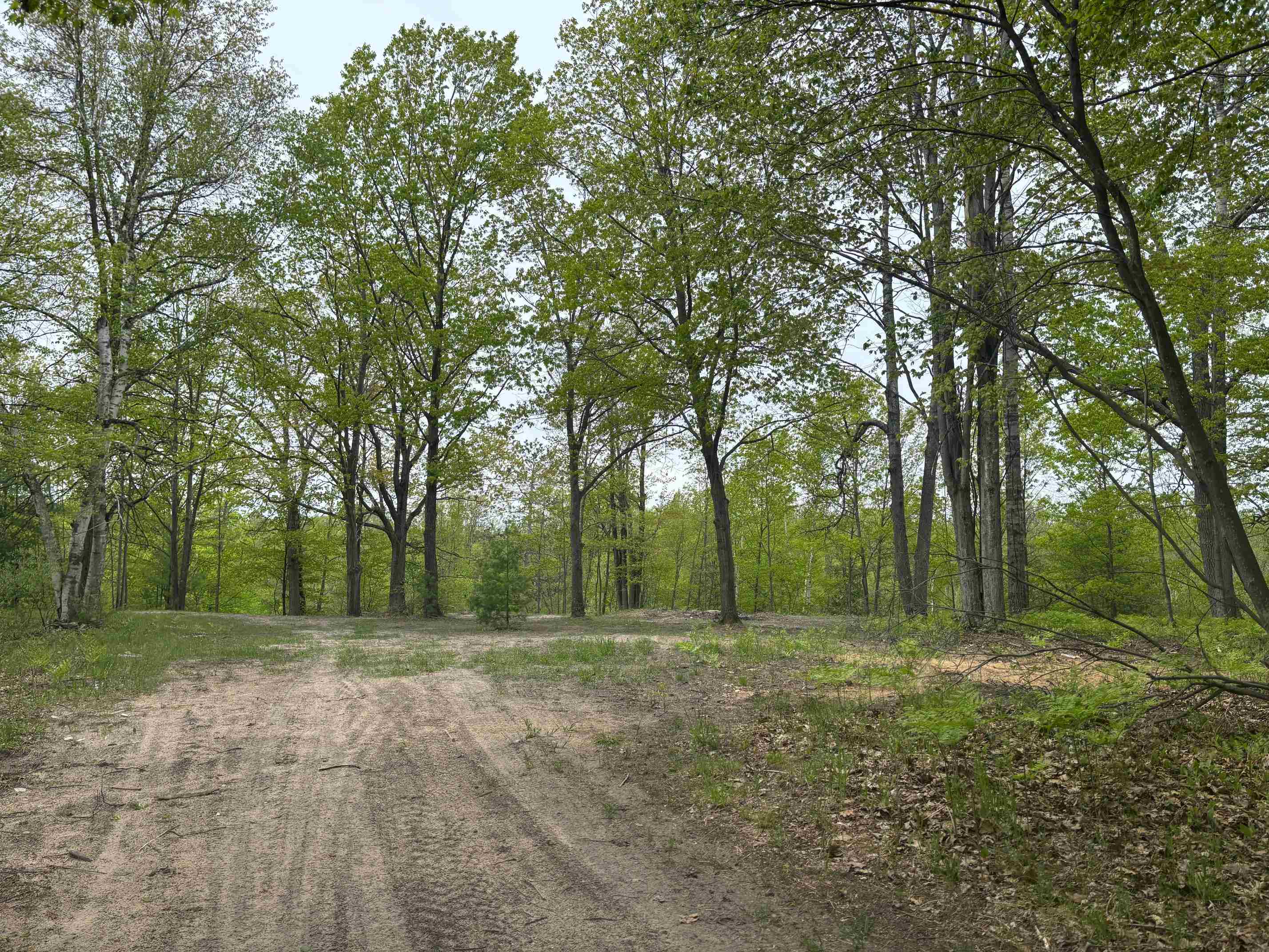 1240 Birch Ridge Road Gladwin, MI 48624 - Photo 14 of 41