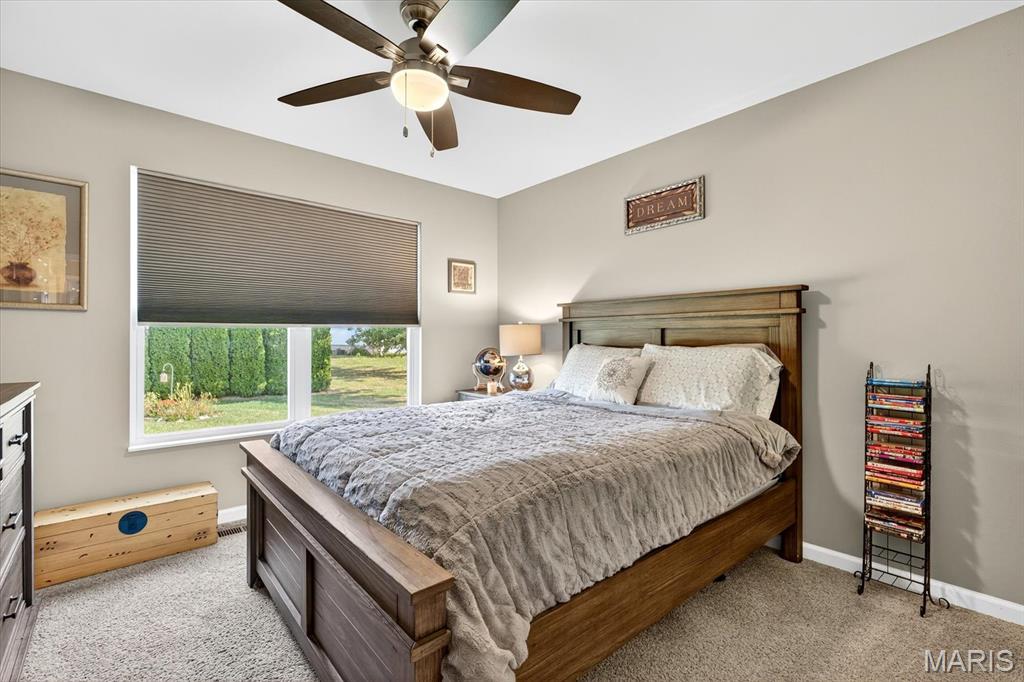 32 Adderly Lane Millstadt, IL 62260 - Photo 10 of 20