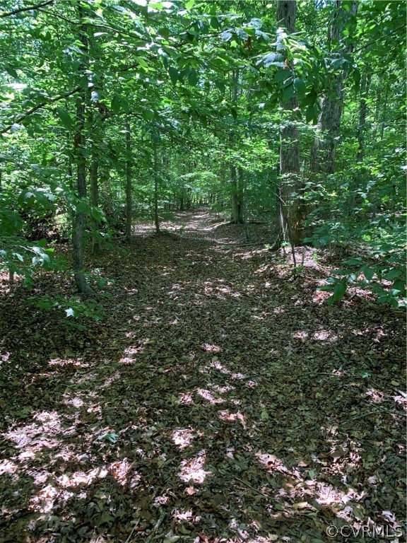 Lot 5 Factory Mill Road Maidens, VA 23102 - Photo 1 of 5