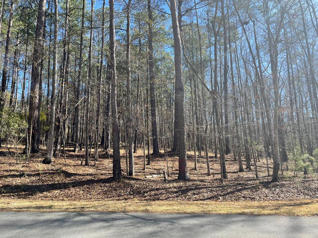 Lot 149 Piedmont Lake Rd Pine Mountain Hamilton, GA 31811 - Photo 2 of 6