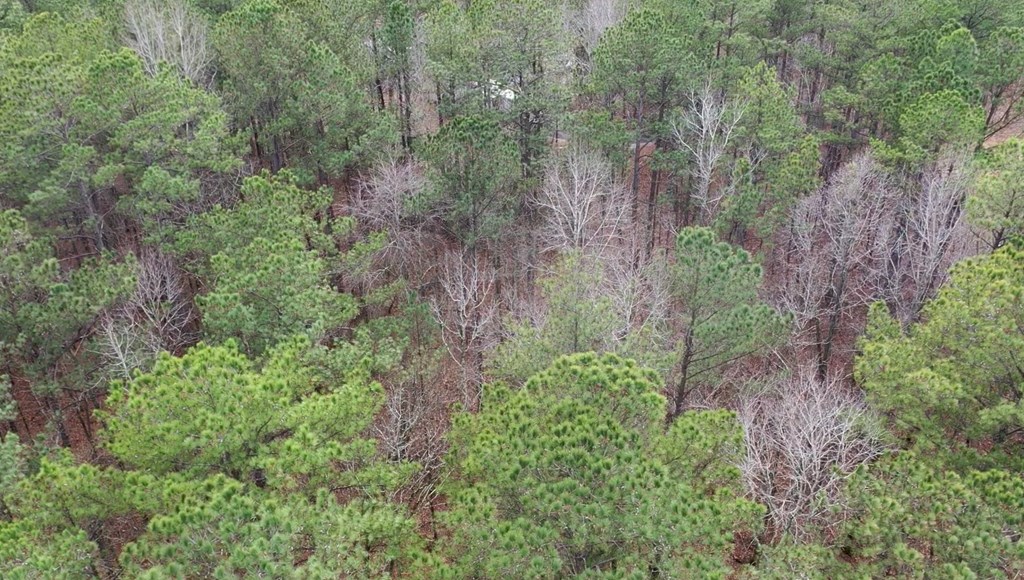Lot 149 Piedmont Lake Rd Pine Mountain Hamilton, GA 31811 - Photo 3 of 6