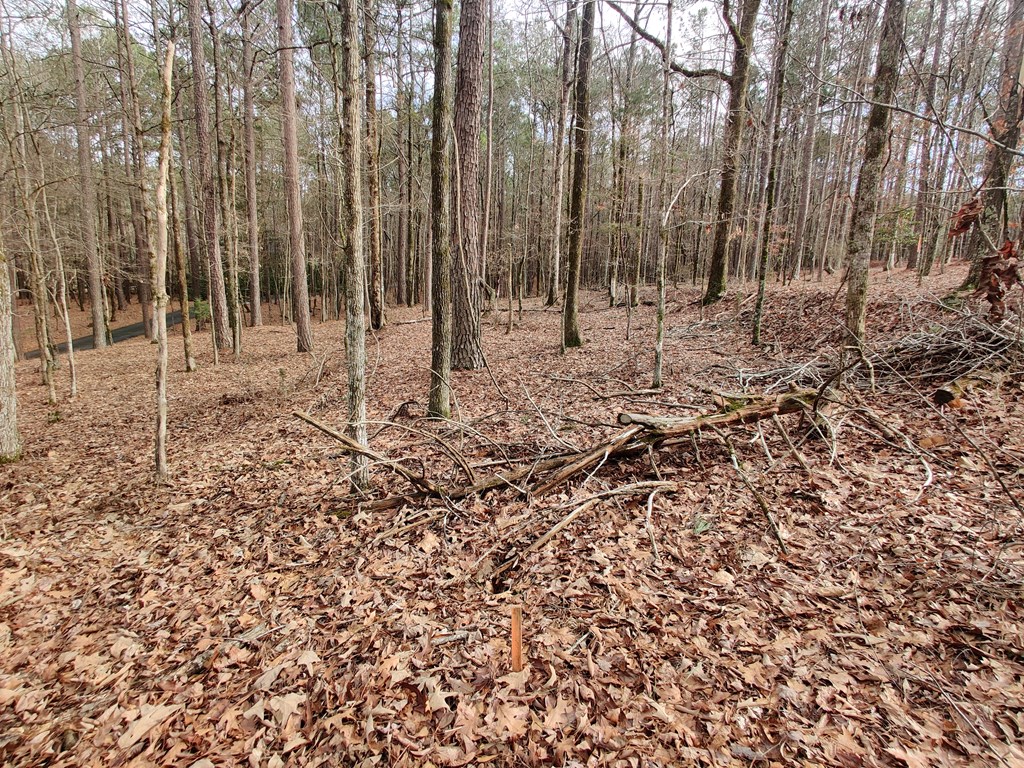 Lot 149 Piedmont Lake Rd Pine Mountain Hamilton, GA 31811 - Photo 4 of 6