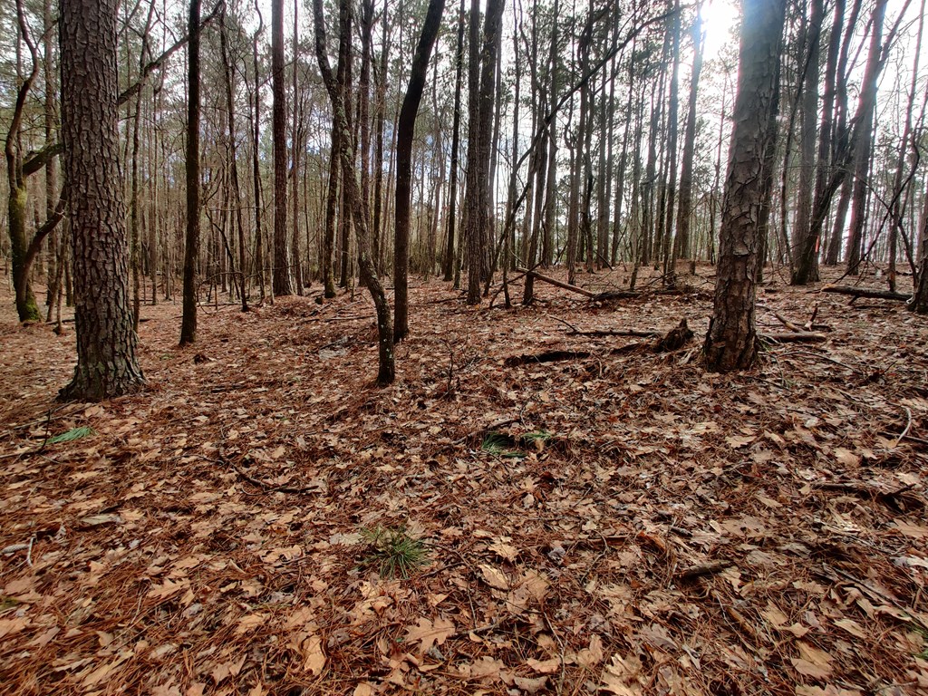 Lot 149 Piedmont Lake Rd Pine Mountain Hamilton, GA 31811 - Photo 5 of 6