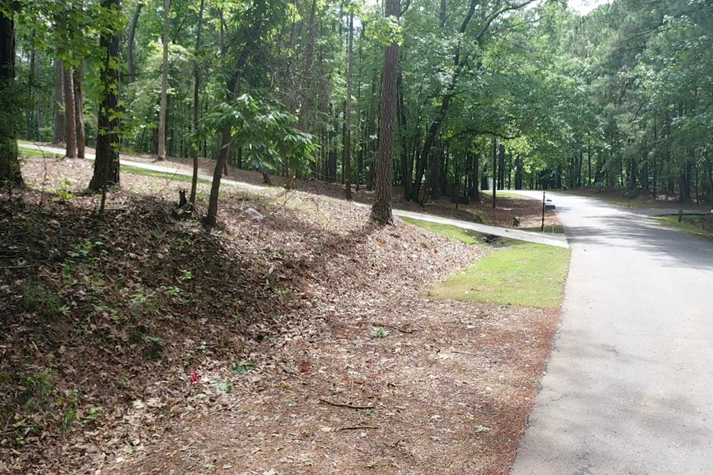 Lot 149 Piedmont Lake Rd Pine Mountain Hamilton, GA 31811 - Photo 6 of 6