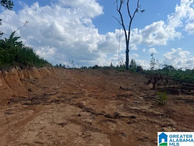 11482 Camp Oliver Road Adger, AL 35006 - Photo 38 of 48