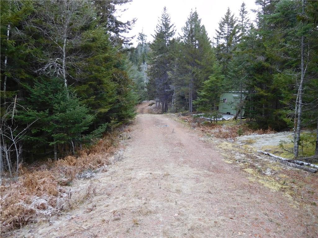 495 Diffin Robbinston, ME 04671 - Photo 11 of 20 From the shed, looking back at the...