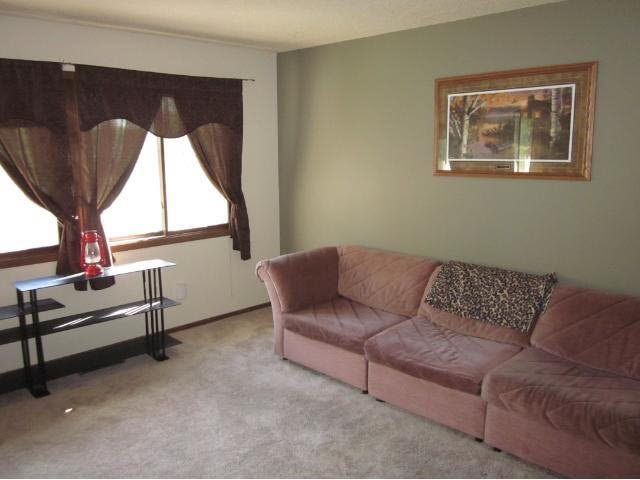 4516 Slater Road Eagan, MN 55122 - Photo 8 of 18