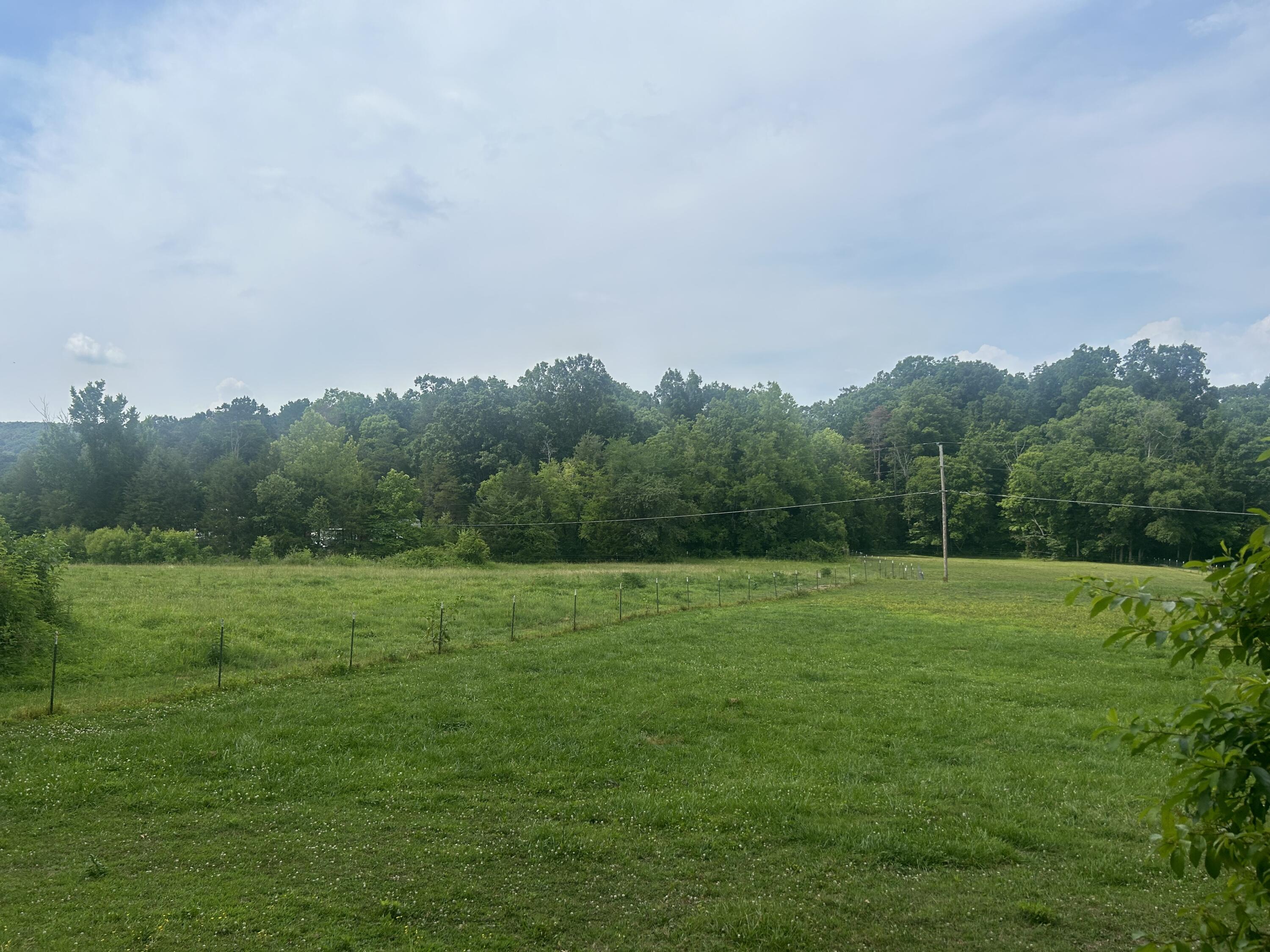 124 Arnold Road Kingston, TN 37763 - Photo 3 of 3 IMG_1644
