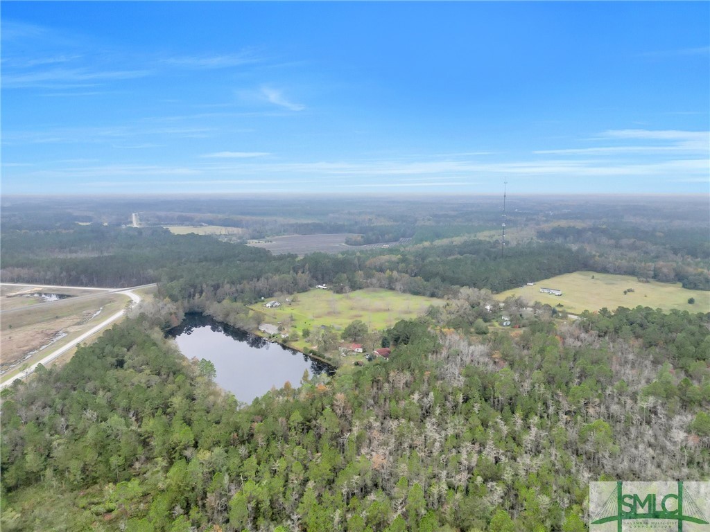 21790 Highway 46 Pembroke, GA 31321 - Photo 10 of 13