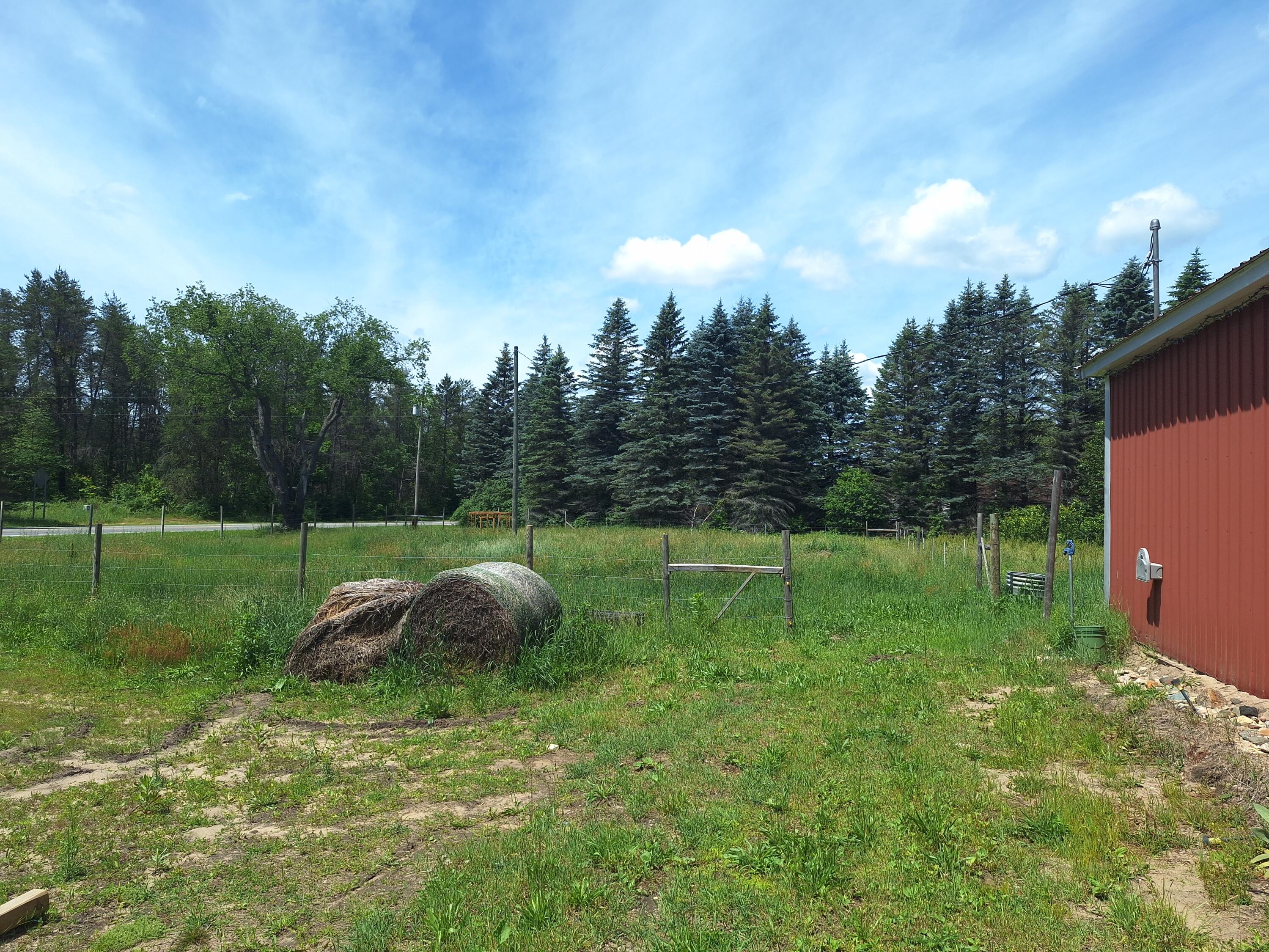 21024 Sylvan Reed City, MI 49677 - Photo 7 of 32 1000024087