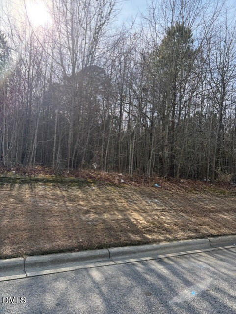 206 Hope Street Erwin, NC 28339 - Photo 2 of 10