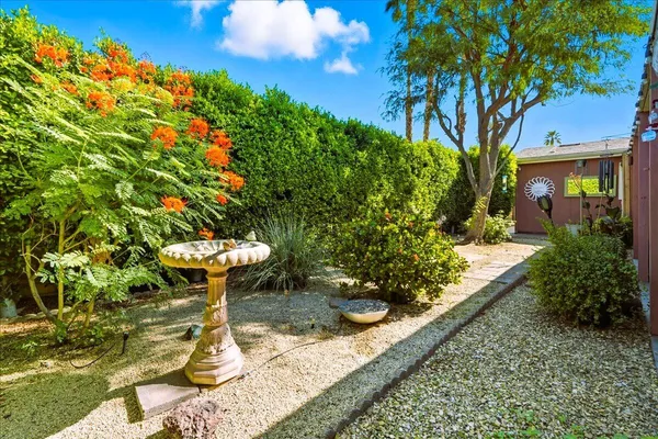 a view of a backyard with plants