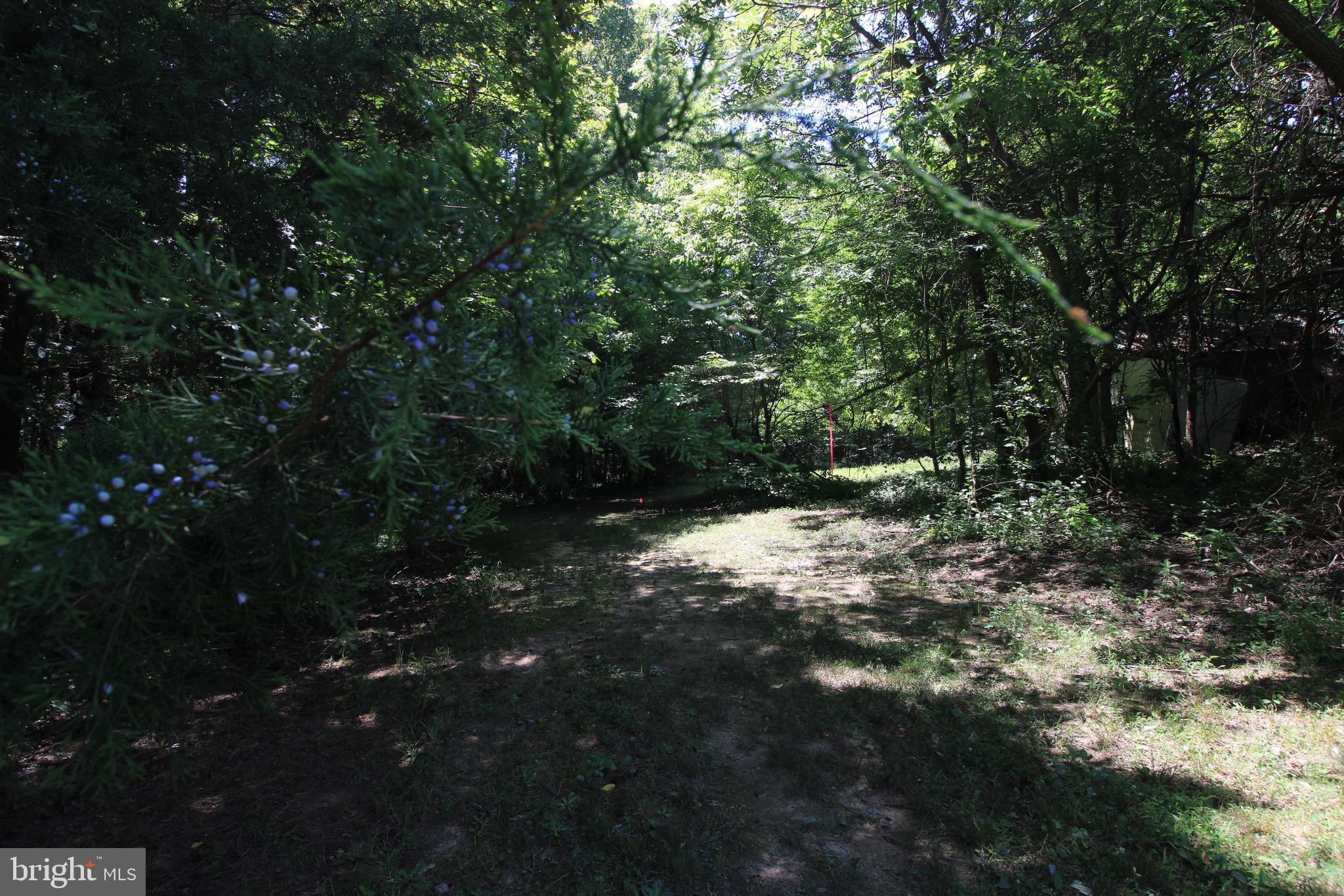 512 Mountain Hall Road Crewe, VA 23930 - Photo 42 of 50