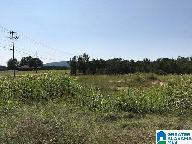 9 Easy Street Anniston, AL 36207 - Photo 1 of 22