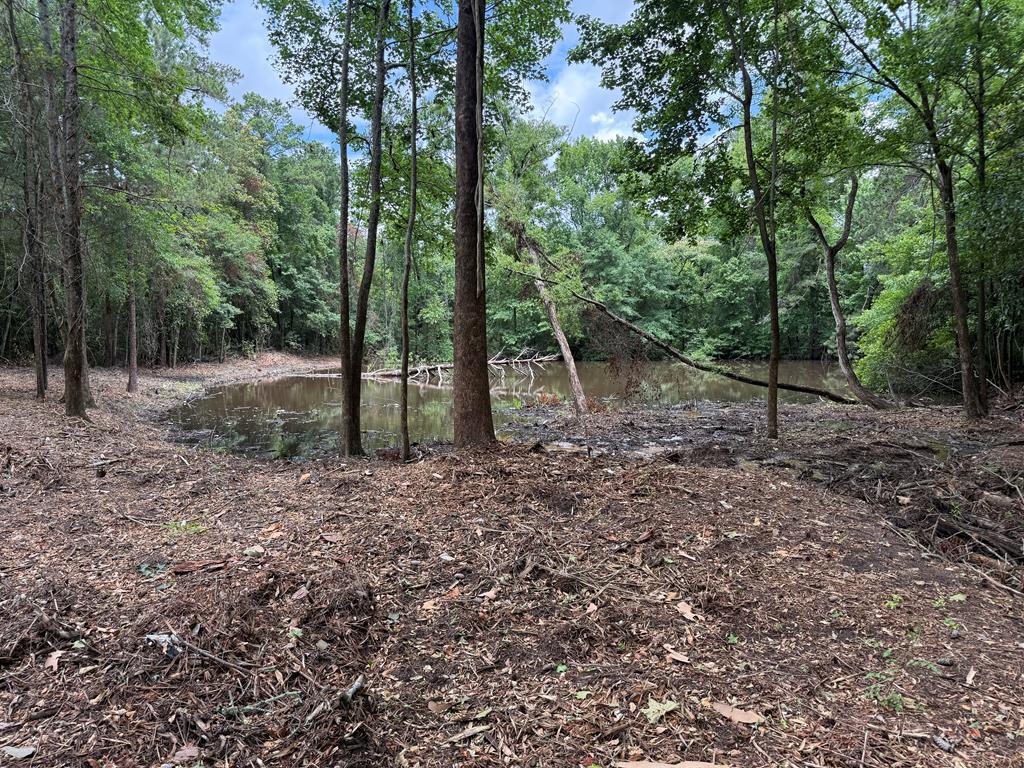 4935 Buena Vista Road Columbus, GA 31907 - Photo 11 of 24 a view of outdoor space with trees