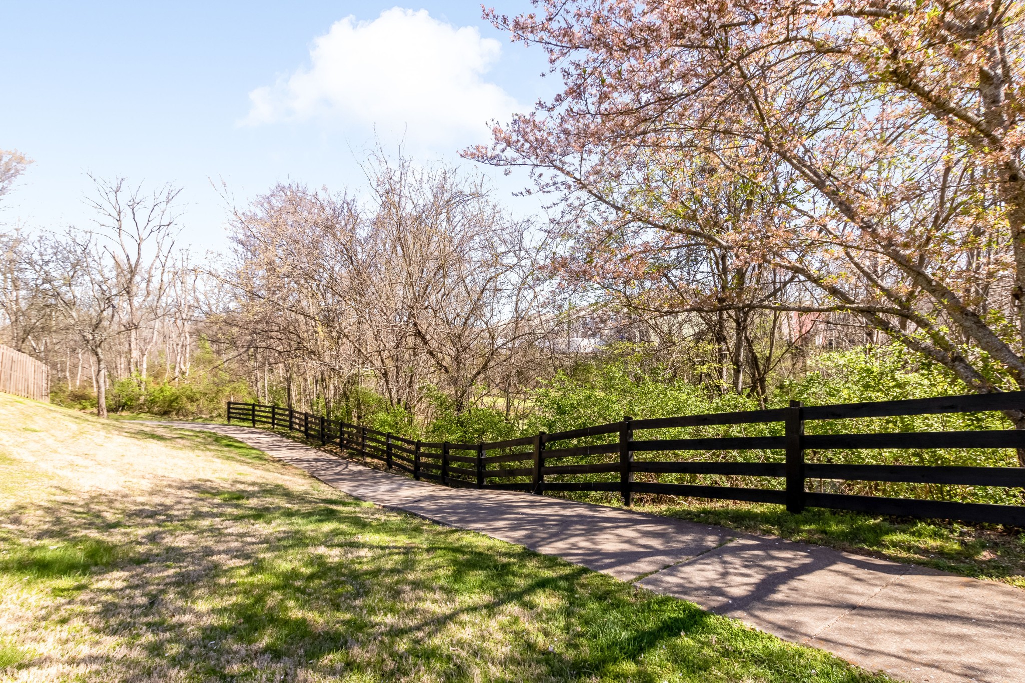 4979 Paddy Trace Spring Hill, TN 37174 - Photo 36 of 36