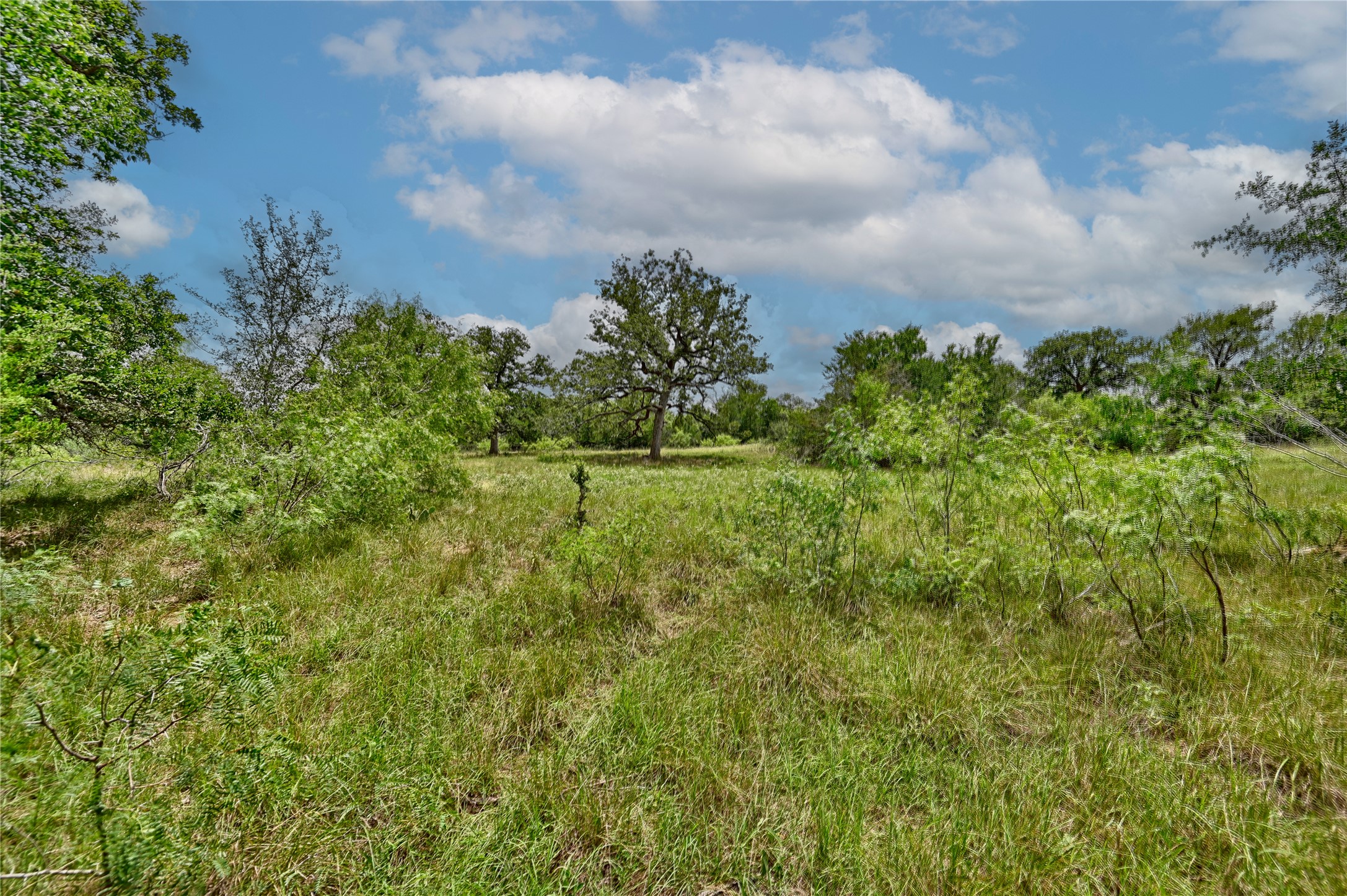 159 Starlight Path Red Rock, TX 78662 - Photo 6 of 18