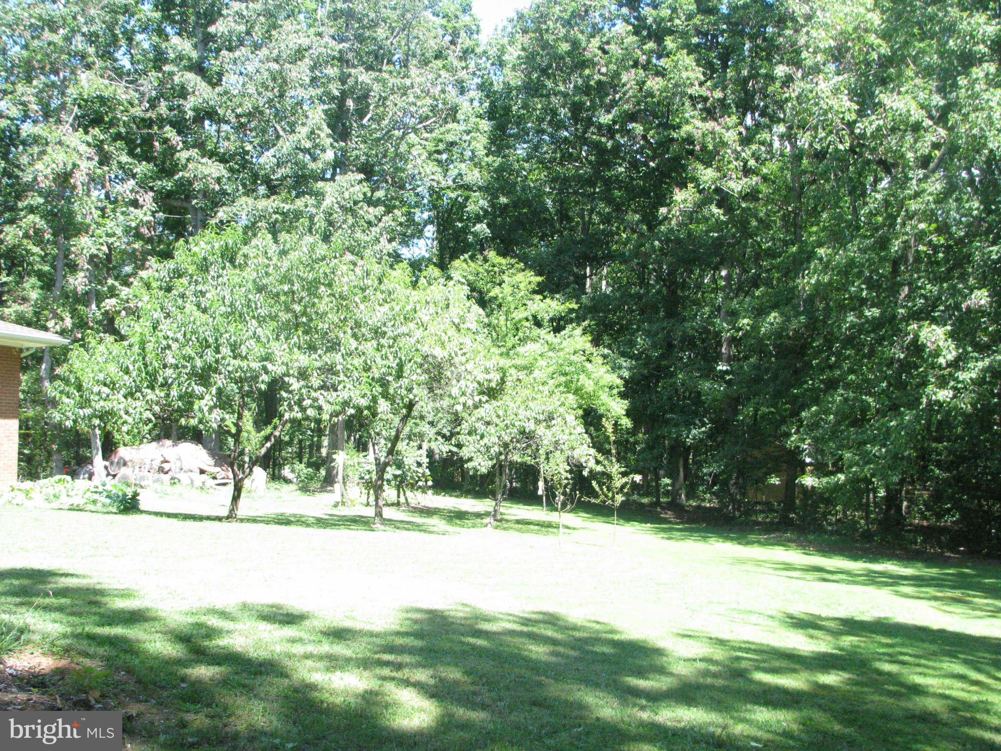 4032 Ensors Shop Road Midland, VA 22728 - Photo 14 of 22 Exterior (General)