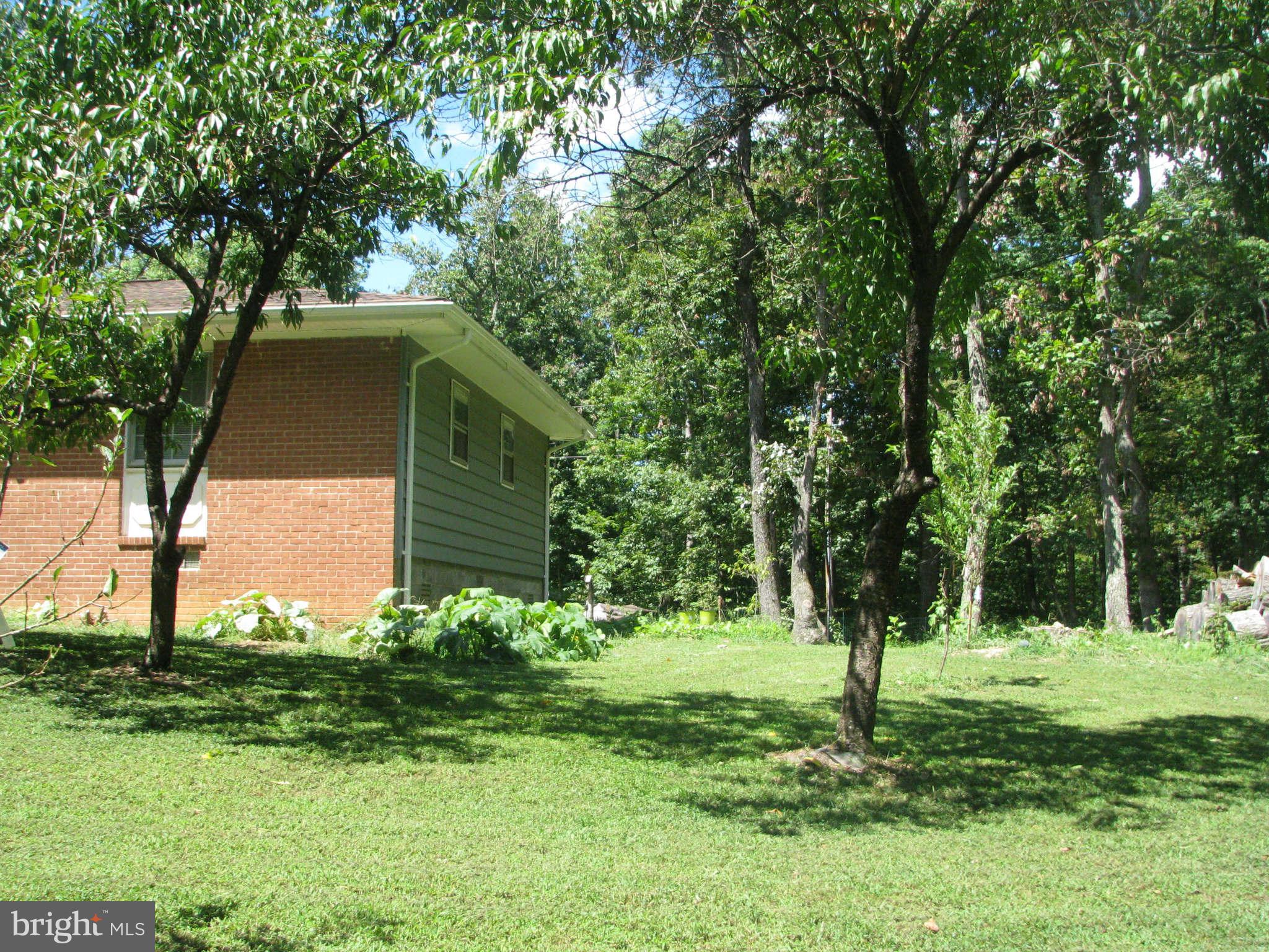 4032 Ensors Shop Road Midland, VA 22728 - Photo 15 of 22 Exterior (General)